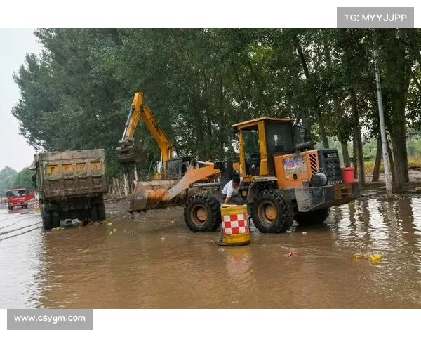 重建家园的六个成功案例探索与经验总结