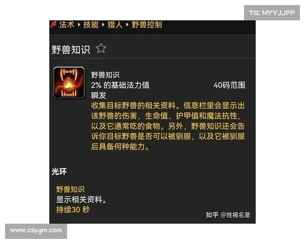 魔兽世界德鲁伊战斗技能全面解析与玩法技巧深度剖析