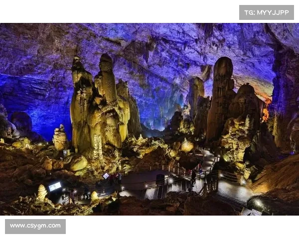 隐匿洞穴行动全面解析：背景、策略、实施过程及其深远影响探讨