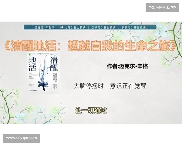 如何掌握神秘力量与觉醒内在潜能开启自我超越之旅