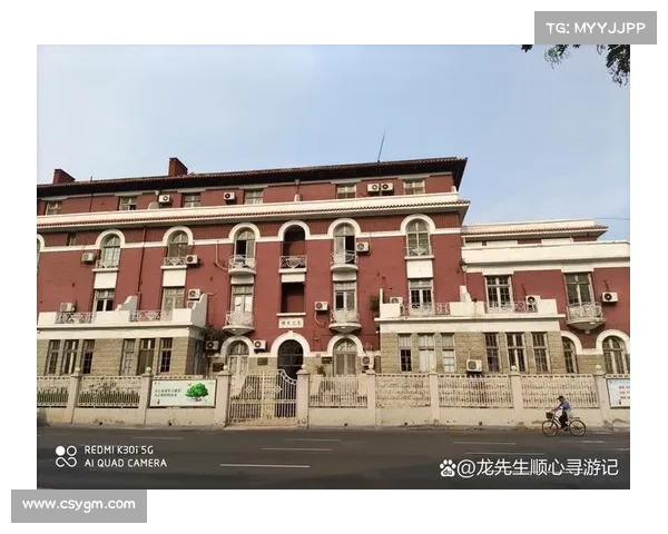 《菈妮的命运之旅》鲜为人知的七个秘密细节揭秘与故事背后玄机