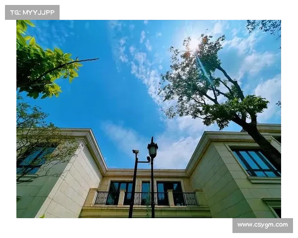 如何打造一流轰趴体验：成为顶尖轰趴管家的全方位服务秘籍