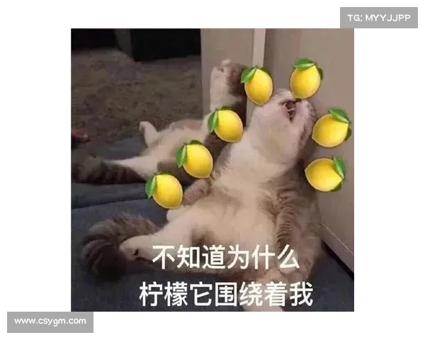 魔兽世界前锋胸甲设计演变及其对游戏美学与玩家体验的影响