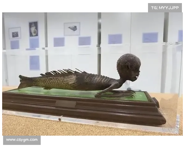 探索神兽森林的奥秘:揭开传说背后隐藏的神秘真相 探索神兽森林的奥秘:揭开传说背后隐藏的神秘真相